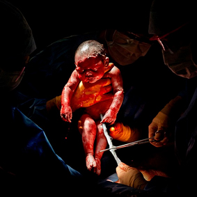 20 sekondat e para t&euml; jet&euml;s 