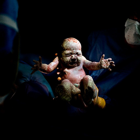 20 sekondat e para t&euml; jet&euml;s 