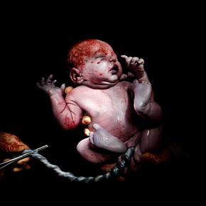 20 sekondat e para t&euml; jet&euml;s 