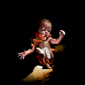 20 sekondat e para t&euml; jet&euml;s 