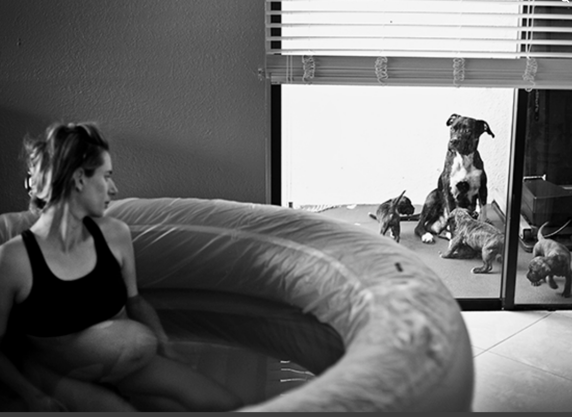 Fotot m&euml; t&euml; bukura t&euml; lindjeve